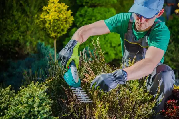 landscaping services Wright City